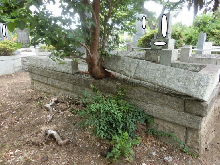 都立霊園にリフォームの見積依頼で現場に来ましたが近くにありました。